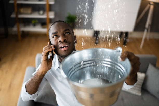 Best Water damage restoration near me  in Roslyn Estates, NY