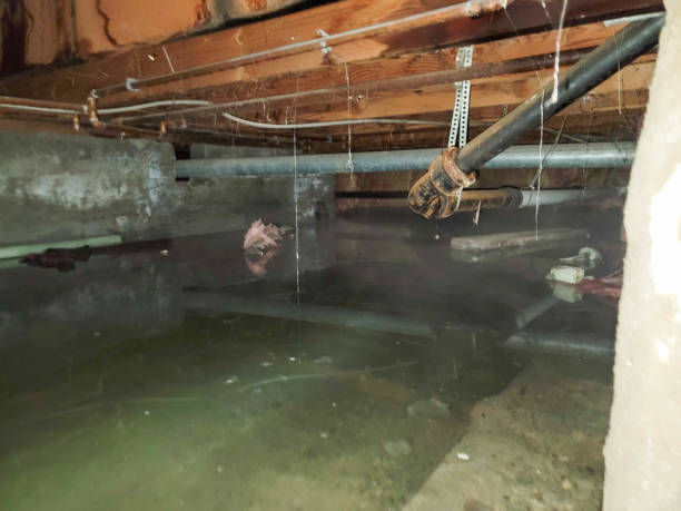 Best Water damage restoration near me  in Roslyn Estates, NY