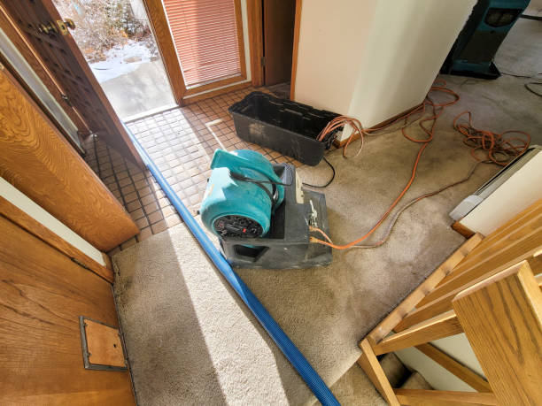 Best Commercial water damage restoration  in Roslyn Estates, NY