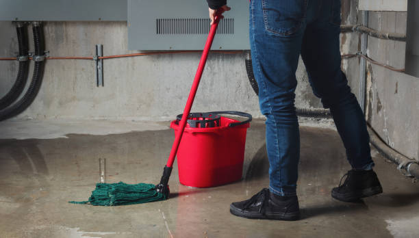 Best Mold removal after water damage  in Roslyn Estates, NY