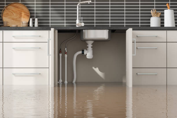 Best Basement water damage restoration  in Roslyn Estates, NY