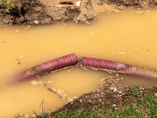 Best Water damage restoration services  in Roslyn Estates, NY