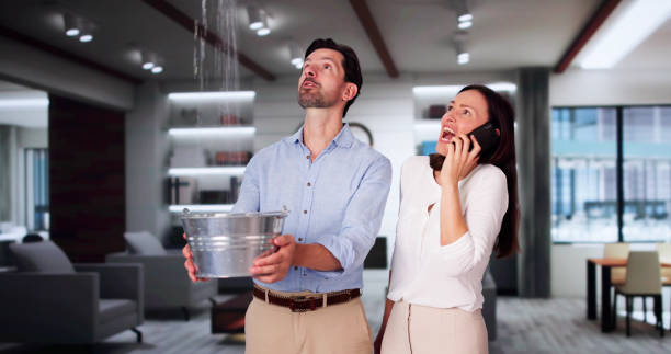 Best Local water damage restoration  in Roslyn Estates, NY